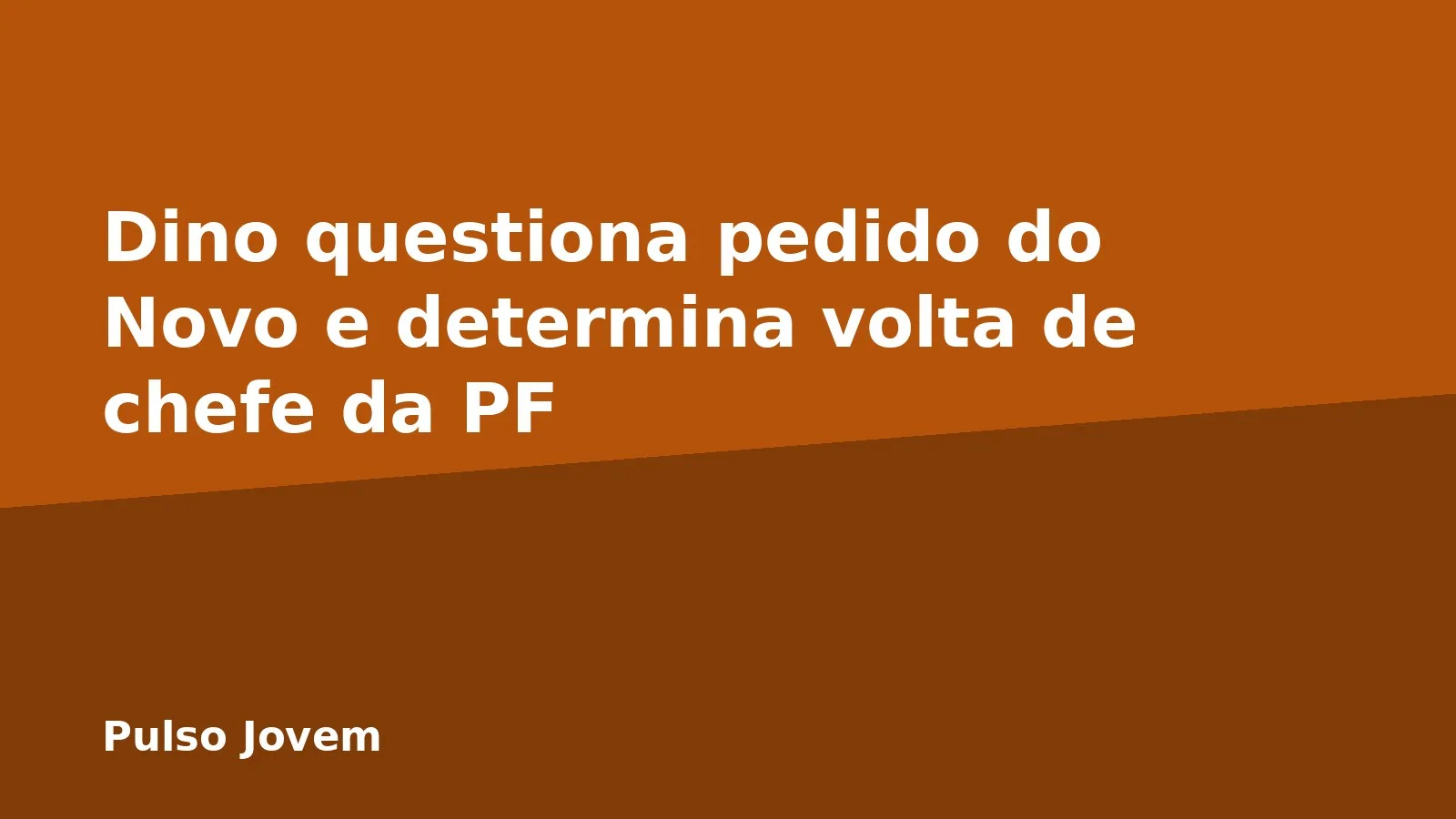 Dino questiona pedido do Novo e determina volta de chefe da PF