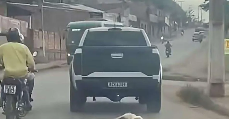 Família afirma que motorista não viu cachorro preso a caminhonete em Parauapebas