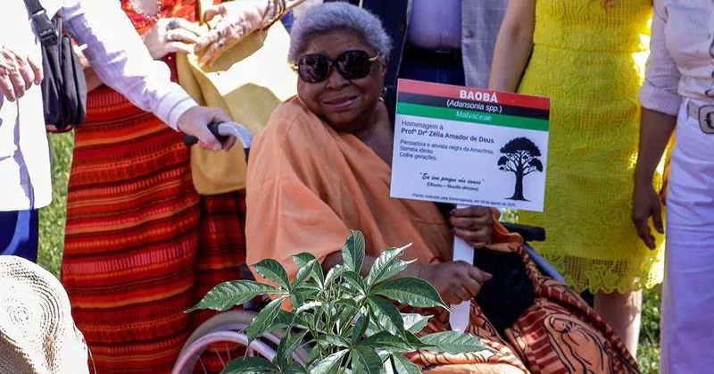 Baobá plantado por Zélia Amador ganha destaque em homenagem da UFPA