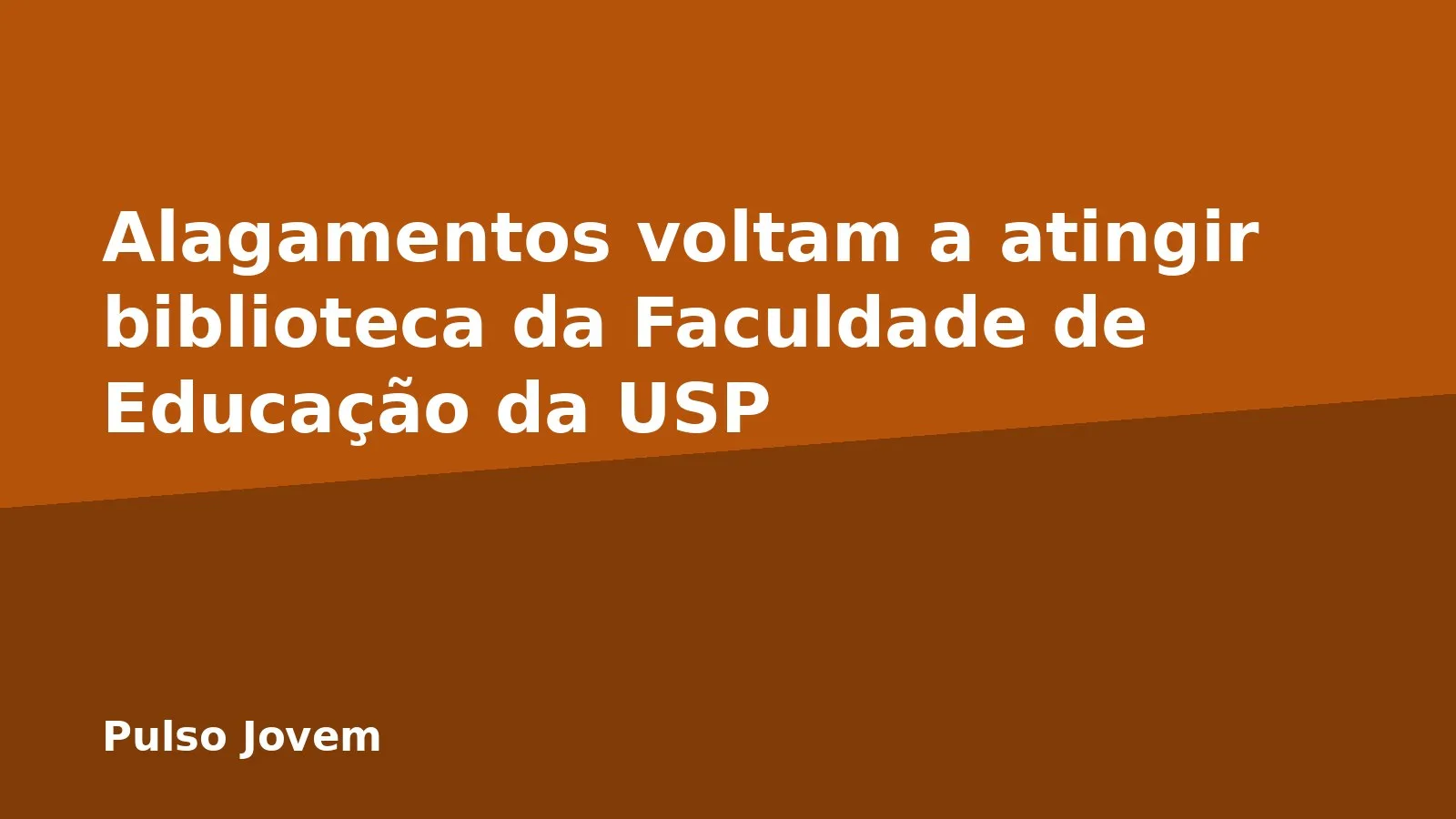 Alagamentos voltam a atingir biblioteca da Faculdade de Educação da USP