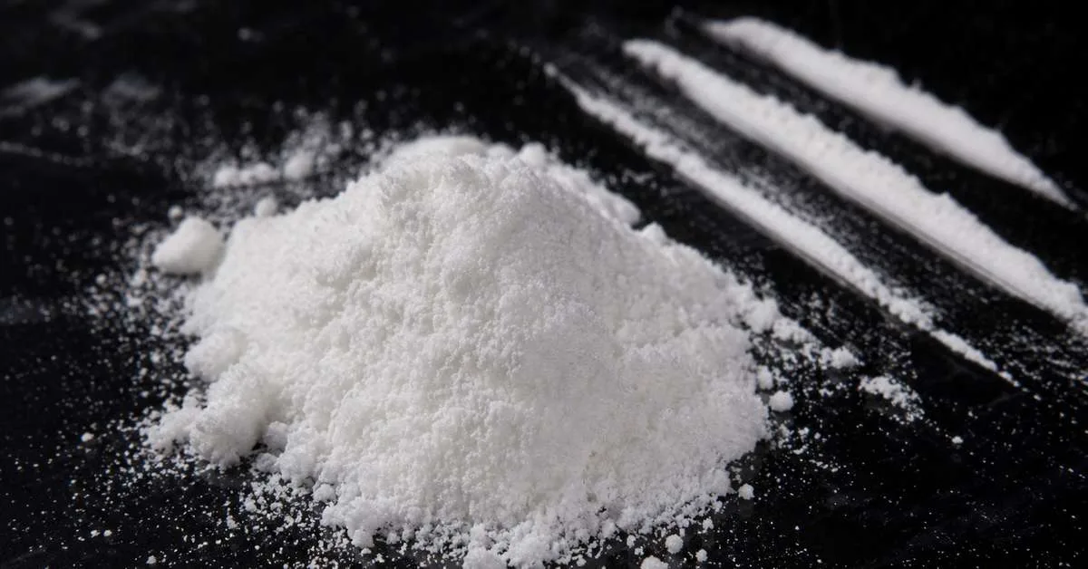 Carga de cocaína é apreendida na Alemanha em ação da PF contra grupo transnacional