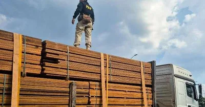 Motorista responde por crime ambiental após carga de madeira em Trairão
